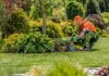 Transform Your Outdoors with Expert Landscaping Services