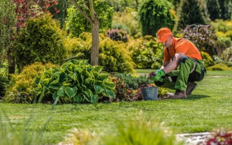 Transform Your Outdoors with Expert Landscaping Services