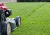 The Ultimate Guide to Professional Lawn Care Services