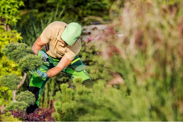 Change Your Outdoors with Fixer Bee's Expert Landscaping Services