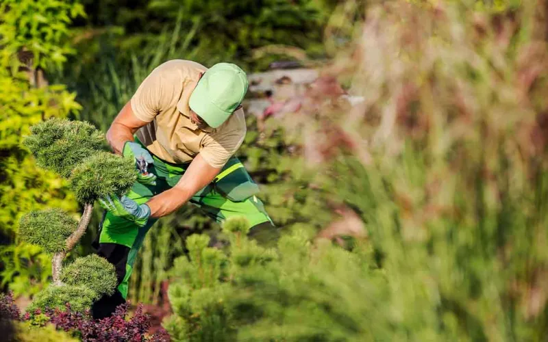 Change Your Outdoors with Fixer Bee's Expert Landscaping Services