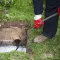 The Importance of Professional Plumbing Services for Sewer and Drain Maintenance